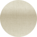 Ivory shainy