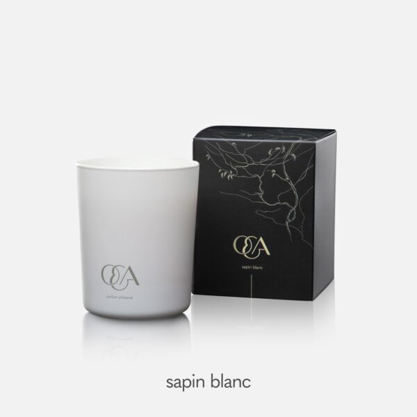 Candle Sapin Blanc
